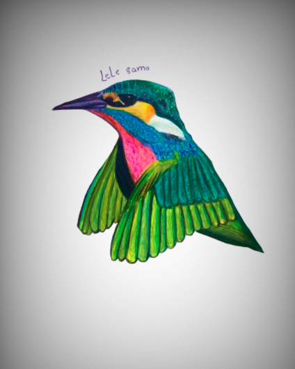رسم عصفور 6
