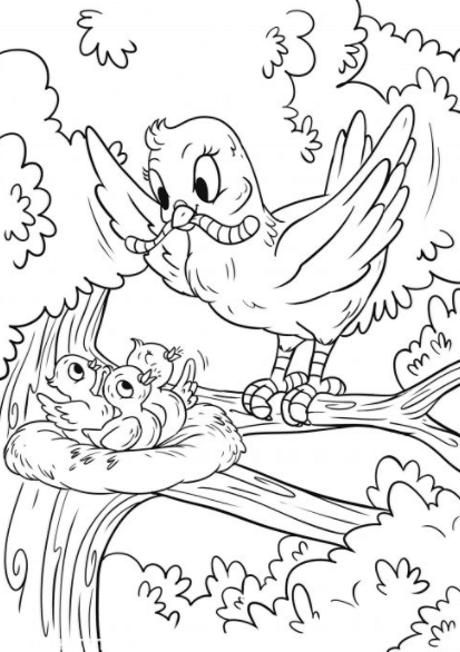 رسومات تلوين للبنات للطباعة 4