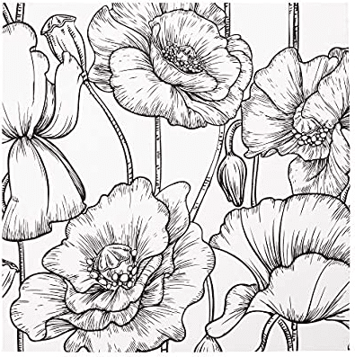 رسومات تلوين للكبار 3