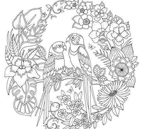 رسومات تلوين للكبار 4