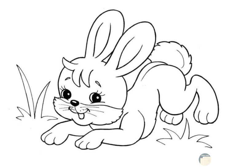 رسومات للتلوين جاهزة للطباعة 1