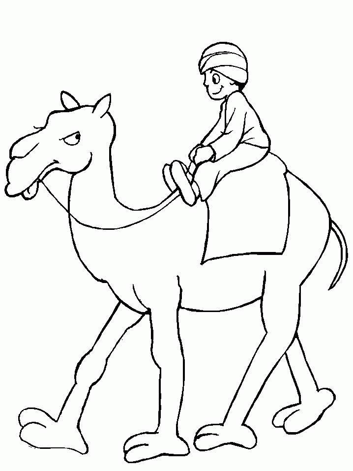 رسم جمل للتلوين 1