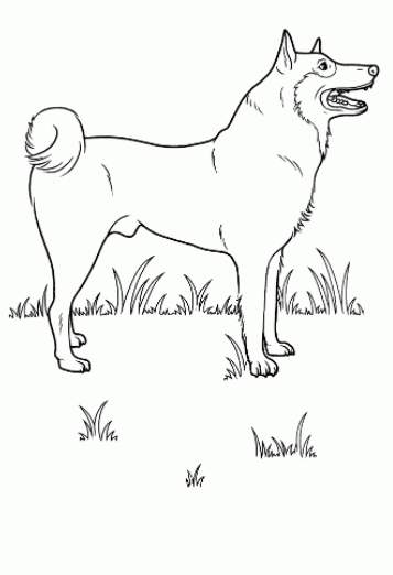رسومات للتلوين كلاب2