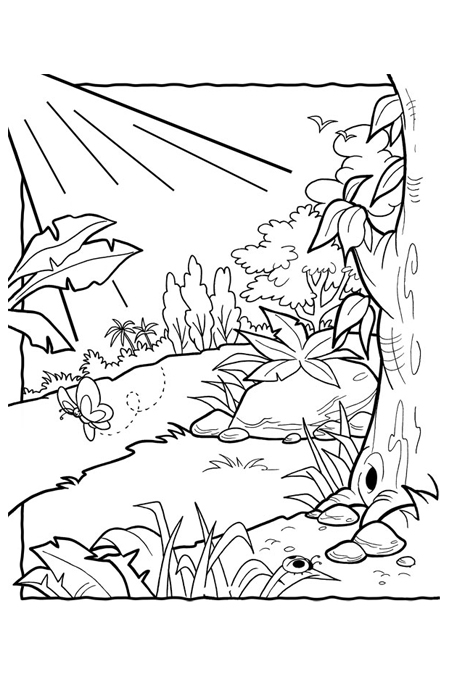 رسومات غابات للتلوين5