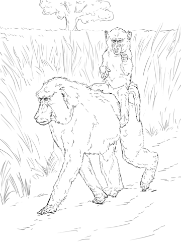 رسومات تلوين حيوانات للاطفال1
