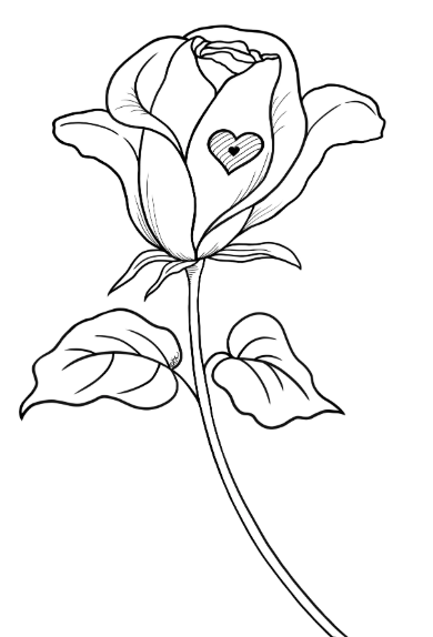 رسومات للتلوين للكبار بسيطة 1