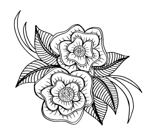 رسومات للتلوين للكبار بسيطة 3