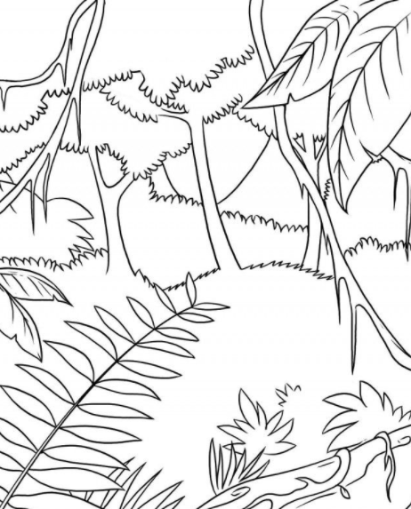 رسومات للتلوين للكبار 2