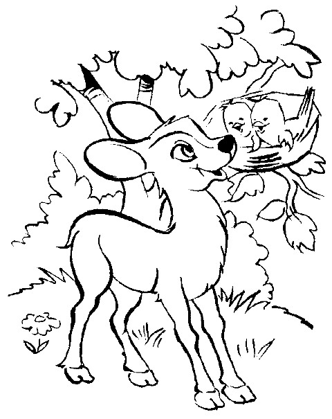 رسومات غزالة للتلوين3