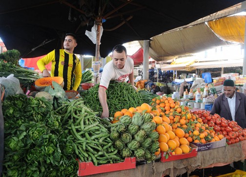تجارة الخضار حلول البطالة