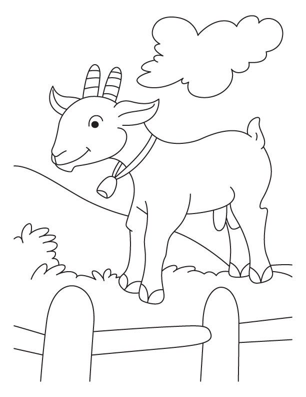 رسومات اطفال للتلوين حيوانات pdf 3