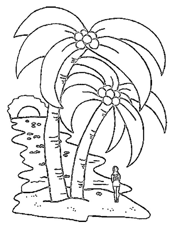رسم جزيرة 4