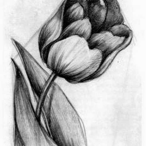 رسومات صعبه وجميلة 2