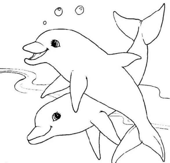 رسومات تلوين دولفين5