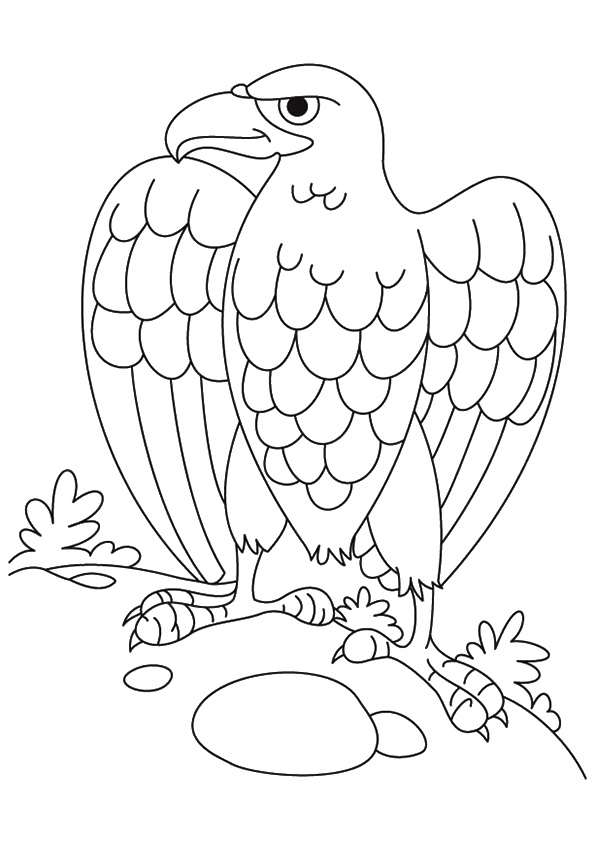 تلوين حيوانات للاطفال pdf 1