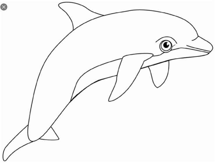 رسومات تلوين دولفين6