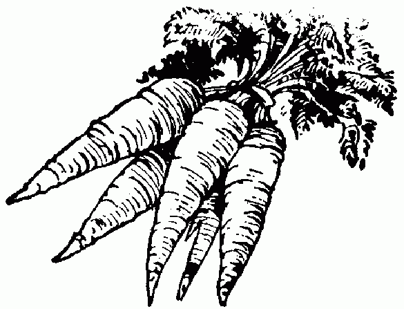 رسومات تلوين جزر2