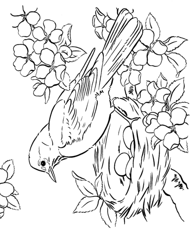 رسومات للتلوين جاهزة للطباعة 1