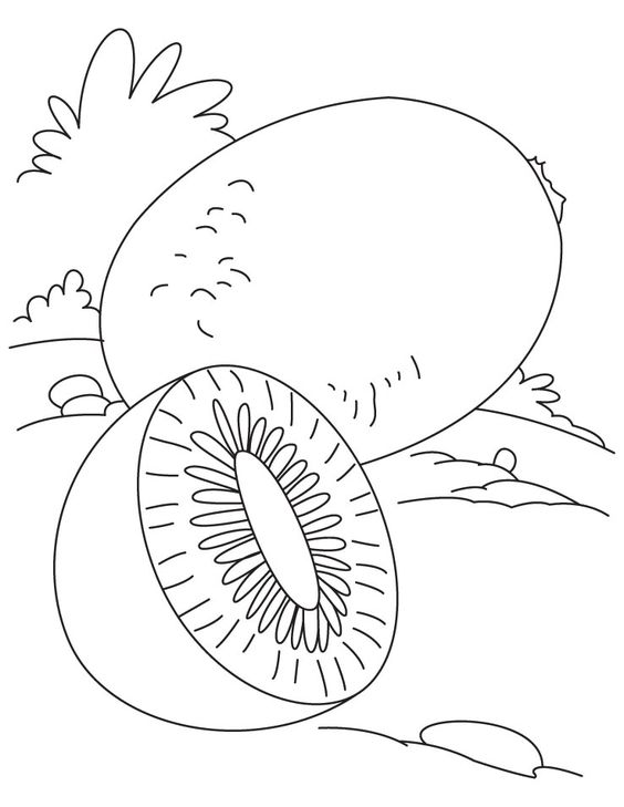 رسومات فواكه للتلوين Pdf 4