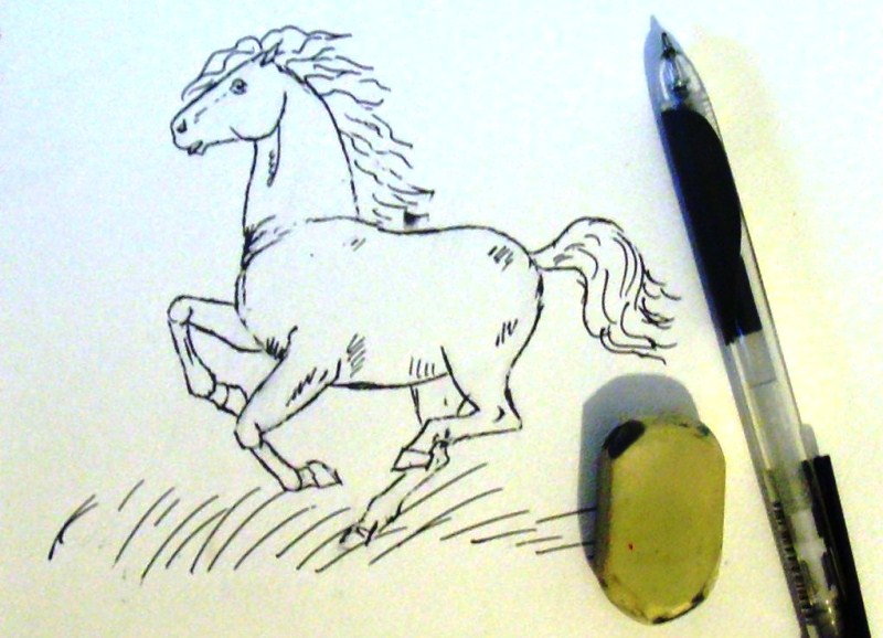 رسومات حصان 2