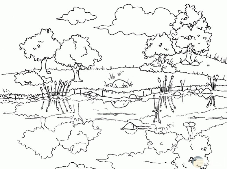 رسومات غابات للتلوين10