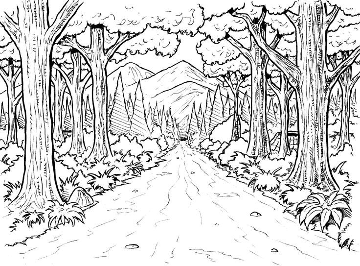 رسومات غابات للتلوين12