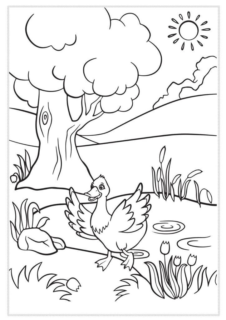 رسومات للتلوين للاطفال للطباعة 1