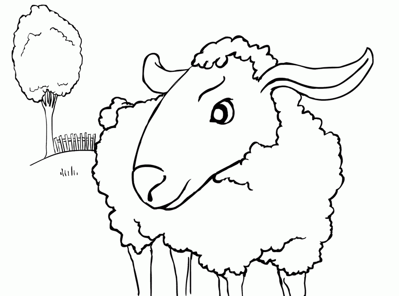 رسومات تلوين خروف العيد1