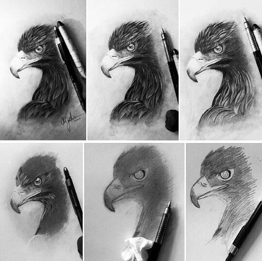 رسم نسر 2