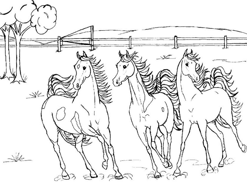 رسومات تلوين خيول2