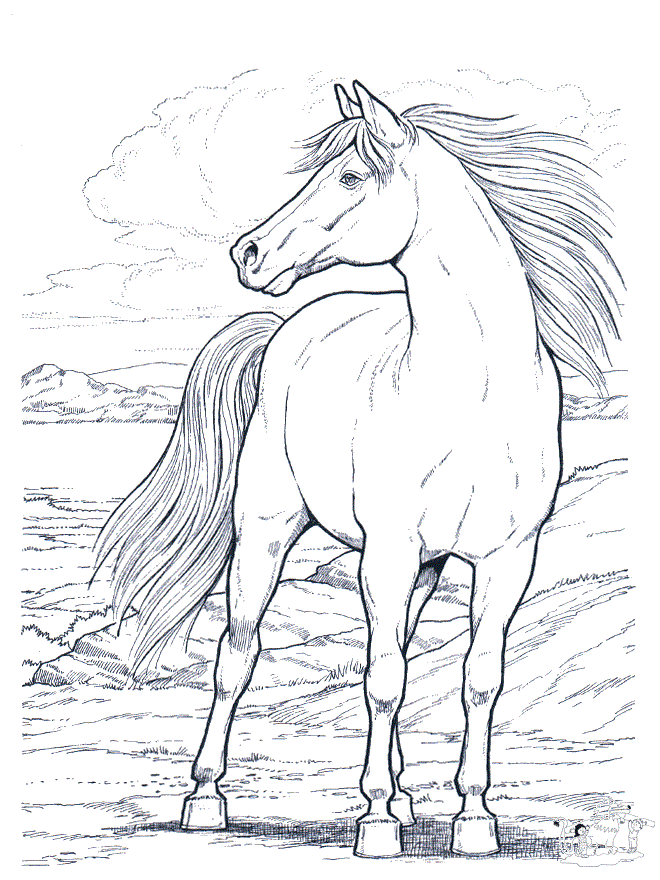رسومات تلوين خيول4
