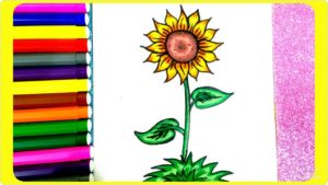 رسومات تلوين زهور