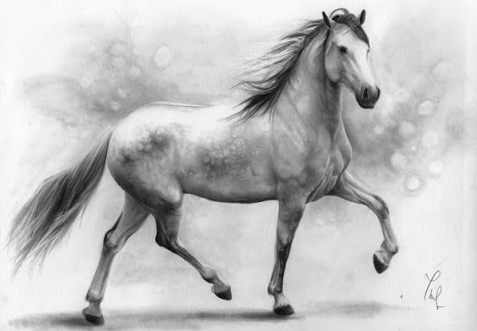 رسم حصان ثلاثي الأبعاد 2