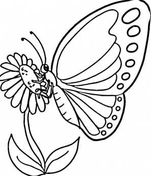  رسومات ورود وفراشات للتلوين 1