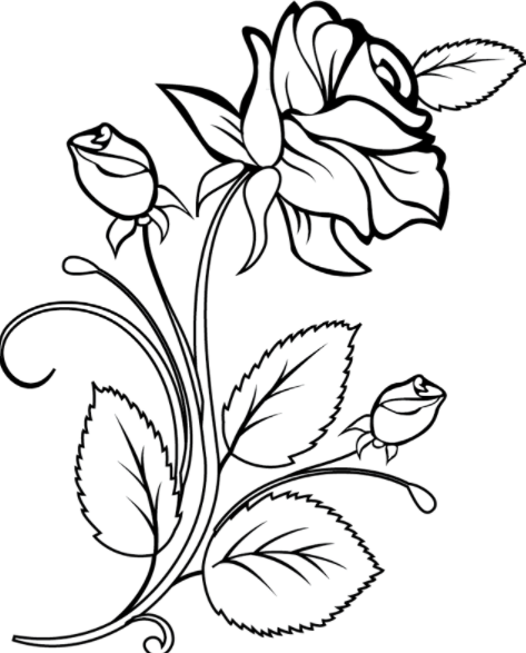 رسومات ورود وفراشات للتلوين 6