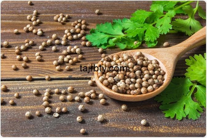 تجربتي مع الكزبرة للتنحيف