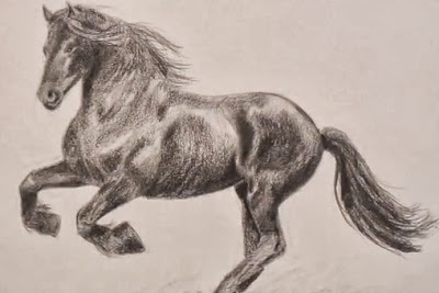 حصان مرسوم بالرصاص 2