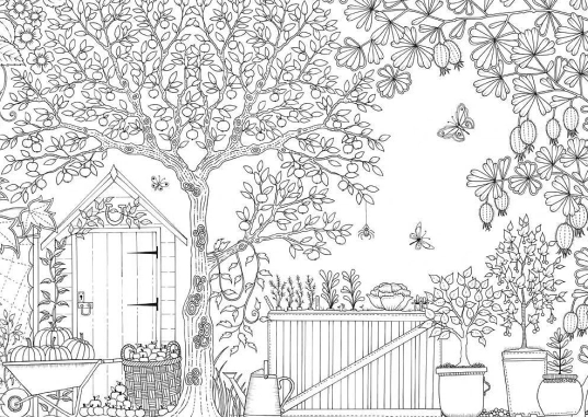 رسومات للتلوين للكبار PDF 4