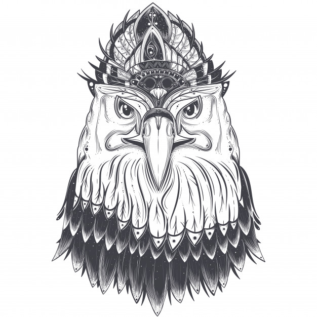 رسم نسر 5