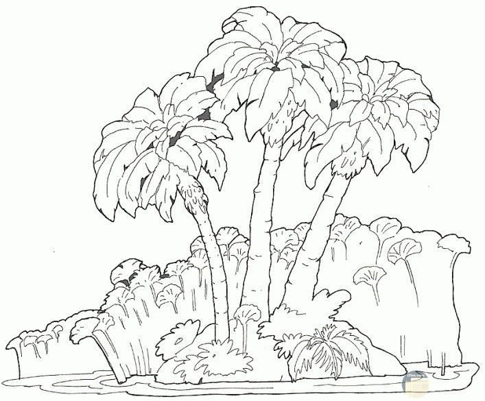 رسومات غابات للتلوين20