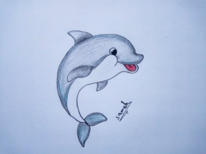 رسومات تلوين دولفين