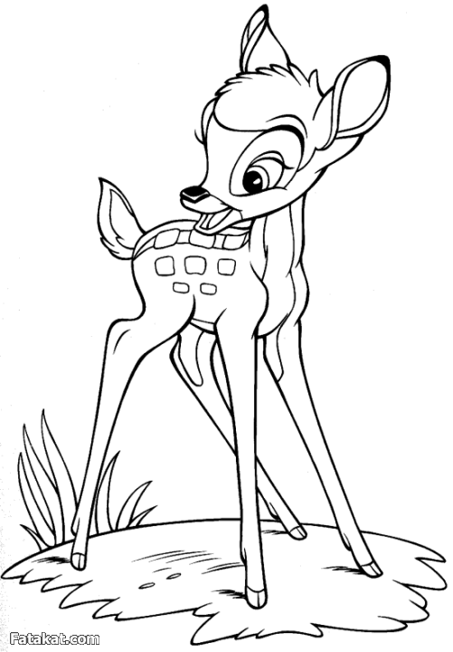 رسومات غزالة للتلوين6