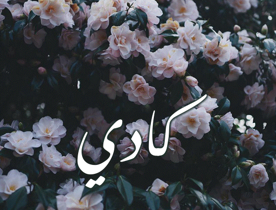 زخرفة اسم كادي