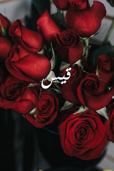 اسم قيس بالانجليزي