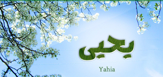 زخرفة اسم يحيى