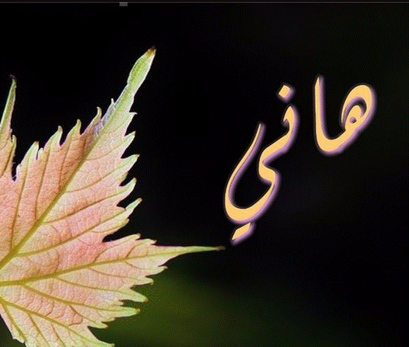 اسم هاني بالصور2