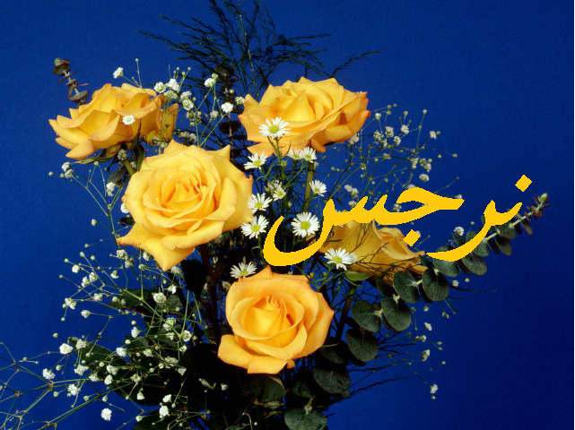 زخرفة إسم نرجس بالورد3