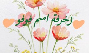 زخرفة اسم فوفو
