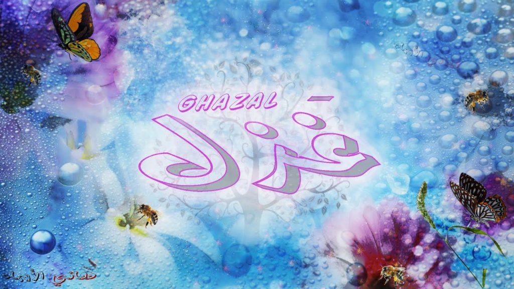 اسم غزل بالصور4