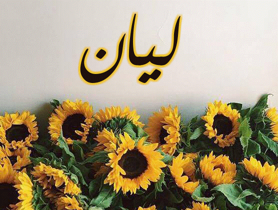 اسم ليان مزخرف بالورد2